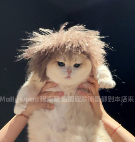 Mollywood 猫来屋 恶搞飘逸秀发头套 搞笑毛绒头发 假发搞怪