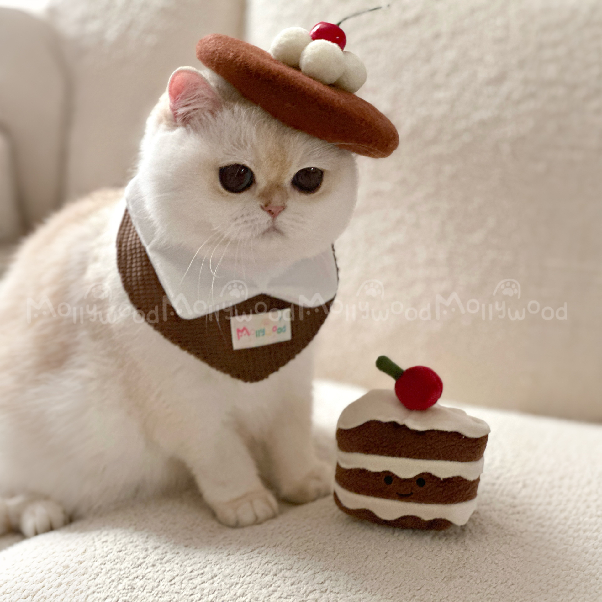 Mollywood猫来屋猫咪围脖生日奶油蛋糕贝雷帽樱桃巧克力口水巾
