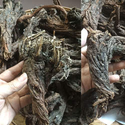 土货山货丹参野外丹参大粒头高原丹参茶可磨丹参粉纯中草材丹参条