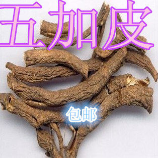 正品中药材 五加皮 北五加皮 香五加皮500克两斤包邮