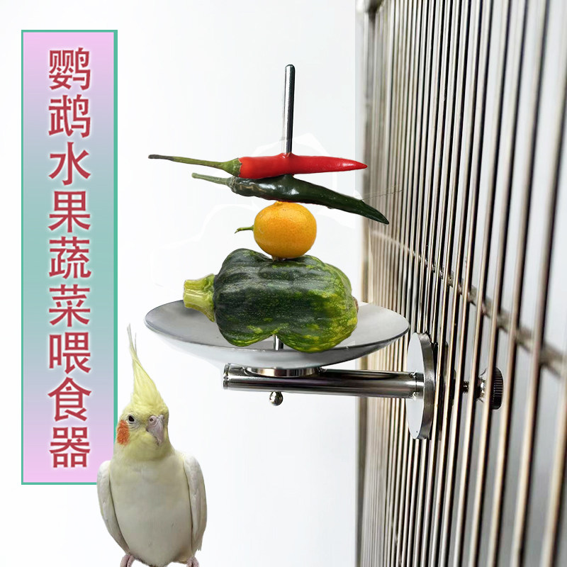 小豆包304不锈钢鹦鹉水果蔬菜喂食器水果叉玉米叉,宠物/宠物食品及用品,鸟禽喂食器/喂水器,淘宝优惠券,粉丝福利购,淘宝优惠卷
