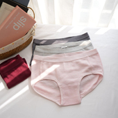抗菌三角中腰内裤 女款 素色美利奴羊毛速干无痕短裤 美丽诺功能排汗