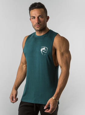 现货 ALPHALETE ASPIRE CUTOFF 运动健身举铁训练背心