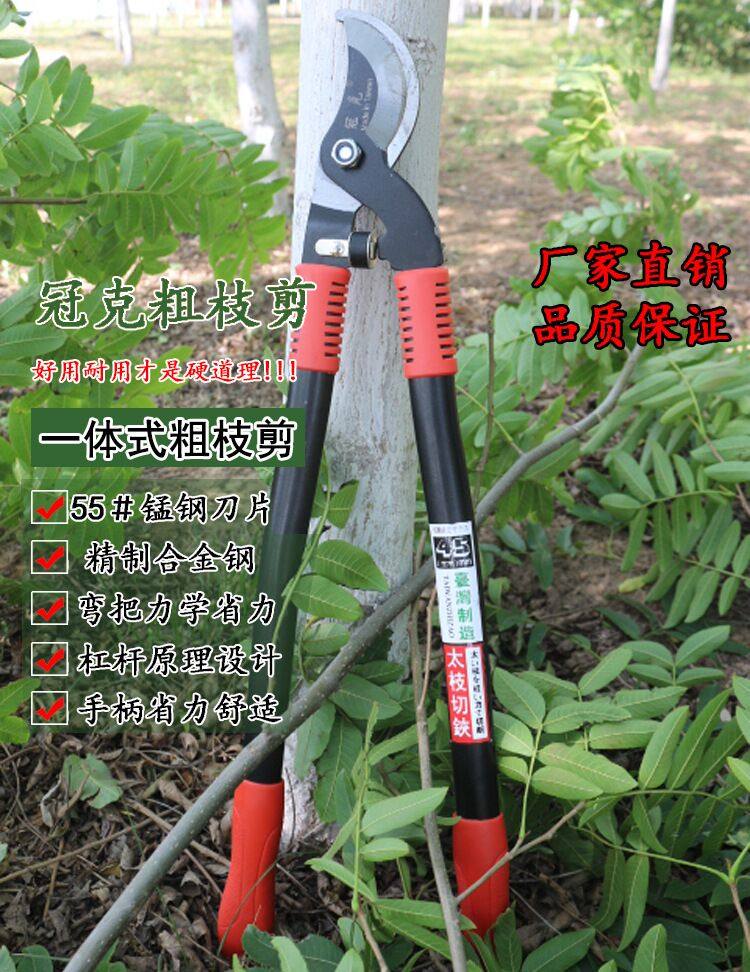 桑树剪刀修枝剪刀方格簇清理器结茧网桑种蚕药切桑叶机蚕种蚕饲料