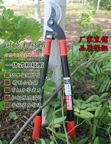 桑树剪刀修枝剪刀方格簇清理器结茧网桑种蚕药切桑叶机蚕种蚕饲料