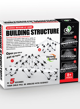 儿童steam建筑结构科普模型益智玩具套餐DIY动手拼装几何积木搭建