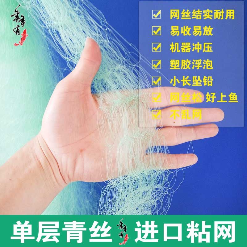 单层渔网进口粗丝绿丝网沉网粘网细丝捕鱼网网青丝鱼网水库网海网