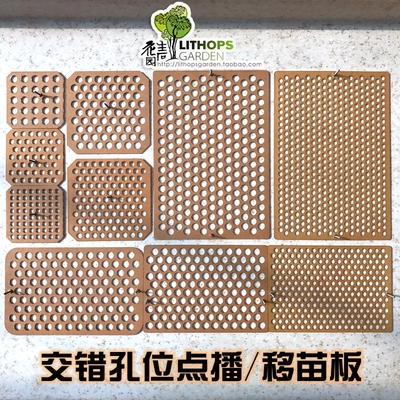 多肉生石花肉锥种子点播神器移苗板亚克力交错孔位强迫症播种卡