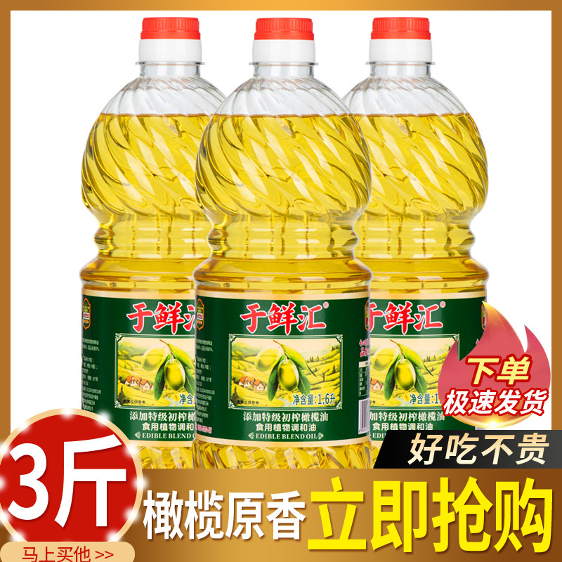 非转基因家用橄榄调和油清香小瓶装食用油特级初榨橄榄油香油包邮