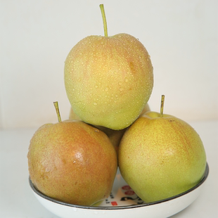 山西隰县玉露香梨水果新鲜当季整箱梨子新鲜水果小西天隰县发货