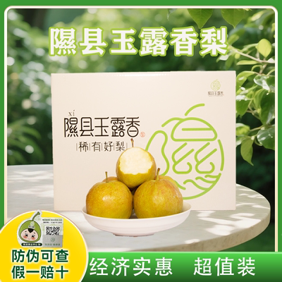 正宗山西隰县玉露香梨应季整箱水果新鲜包邮送礼8斤隰县发货