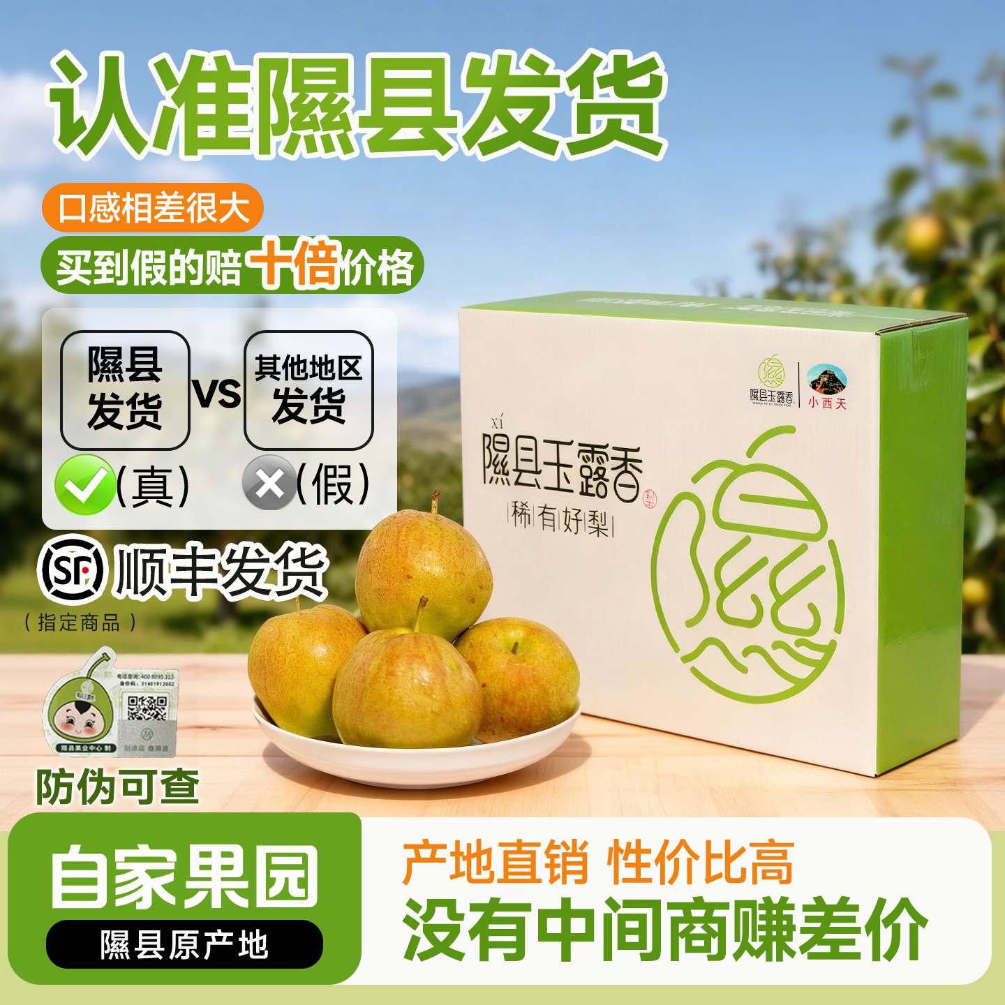 正宗山西隰县玉露香梨应季整箱水果新鲜包邮送礼8斤隰县发货皮薄