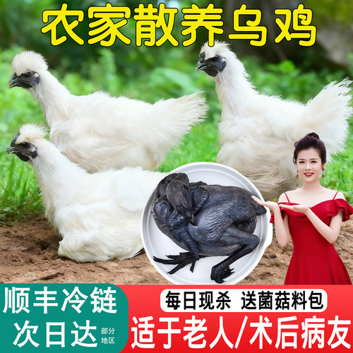 顺丰冷链次日达+送营养菌菇汤料
