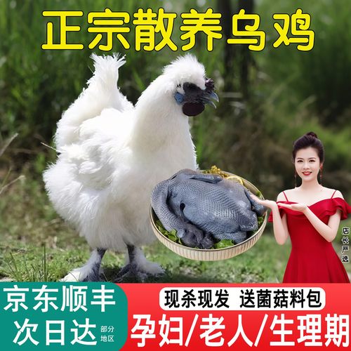 乌鸡新鲜现杀农家散养次日达