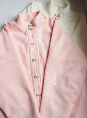 画堂春【寒梅】原创三层复合绒明制立领对襟弓袋袖比甲保暖汉服