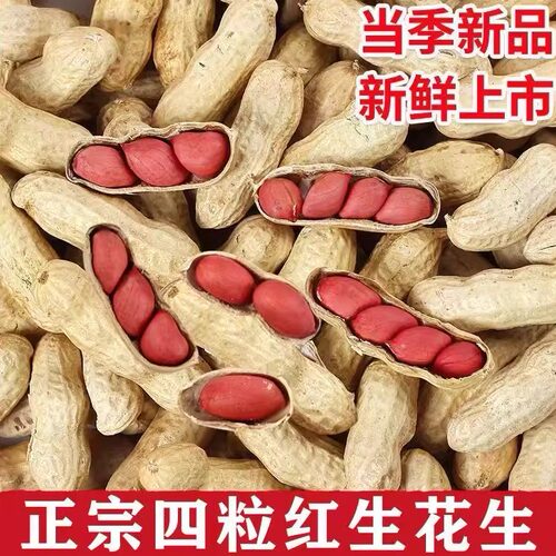 2025新货四粒红带壳生花生