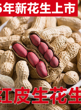25年新花生果四粒红小粒生花生带壳生的红皮花生晒干新鲜原味散装