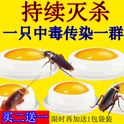 蟑螂药厚生家用非无毒一扫净绝杀一窝端强力高效灭蟑克星神器