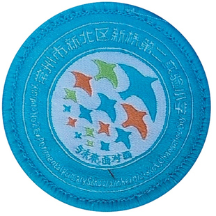 常州新北新桥第二实验小学校服春秋运动装礼服裤班服短袖T恤棉服