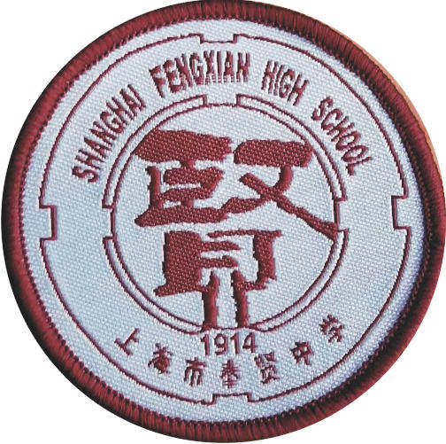 上海市奉贤中学校服春秋运动套装图片
