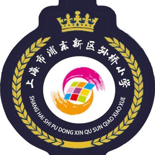 上海孙桥小学校服春秋运动套装