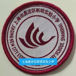 上海嘉定区新城实验小学校服徽男女春秋运动装夏班服T恤冲锋上衣