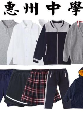 惠州中学校服运动服T恤