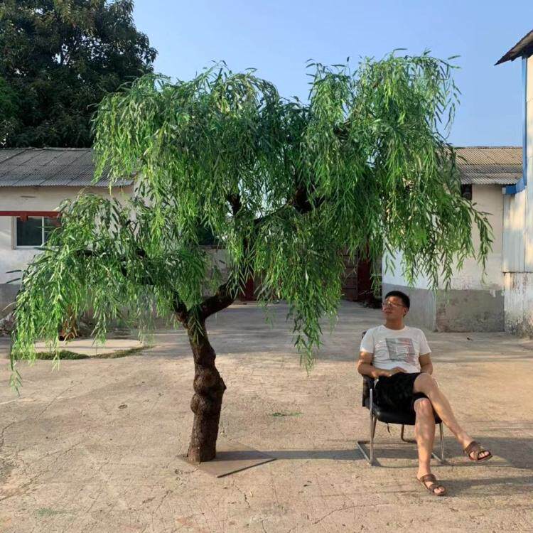 真柳树假柳树条室内装饰绿垂柳树造型树橱窗道具树假柳树枝布景