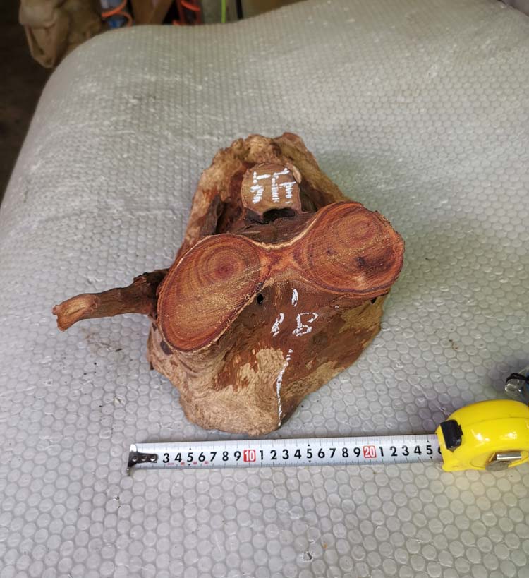 千年纯天然香樟木 老料 树根 风化木 土沉 防虫蛀 香熏摆件 实物