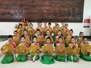 版纳印象舞蹈服装傣族演出服女子演出服装绿色裙子少数民族服成人