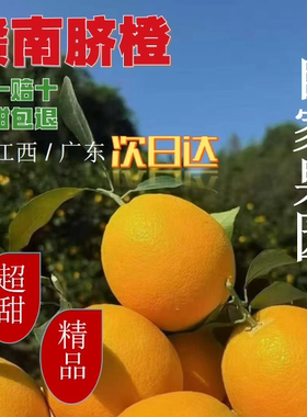 江西赣南脐橙产地直发安远正宗精品10斤天然带叶赣州新鲜当季水果