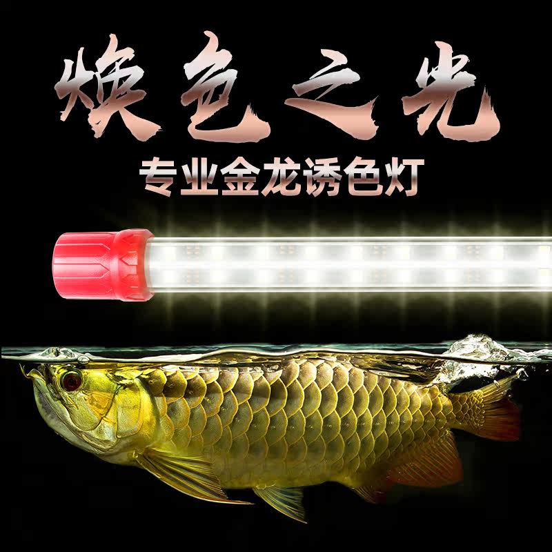 T8龙鱼专用发色灯金龙鱼灯暖色灯增色金色龙鱼专用灯LED鱼缸灯管