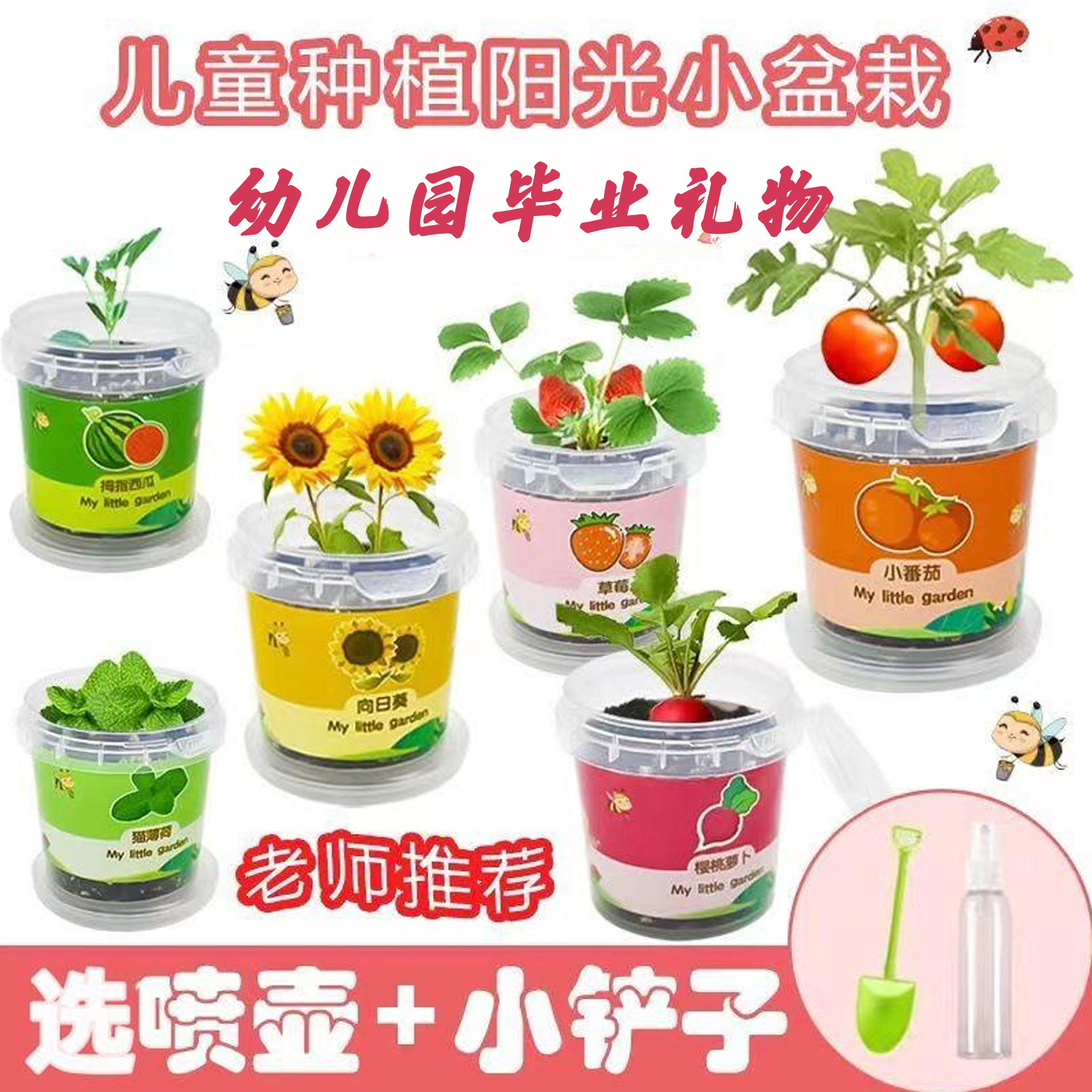 毕业礼物送女生男生小学幼儿园儿童种植小盆栽太阳花向日葵草莓花