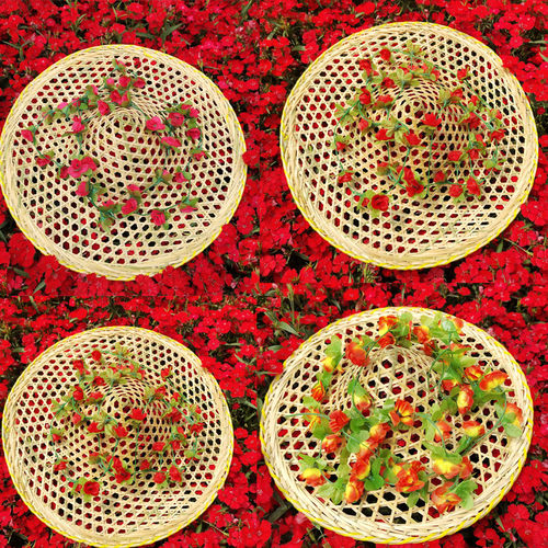 雨后春行斗笠成人斗笠帽广场舞