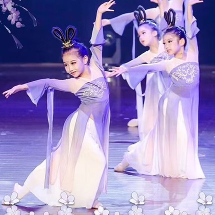 踩水儿童舞蹈服演出服2024新款桃李新苗古典舞飘逸身韵纱衣练功服