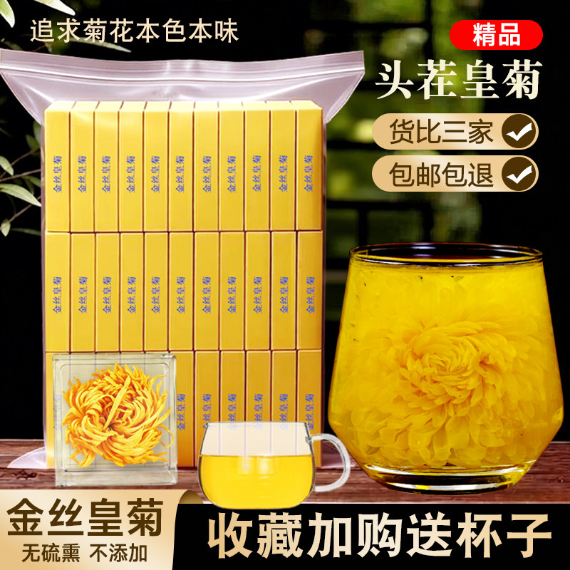 金丝皇菊一朵一杯大黄菊独立包装特大菊花茶精品