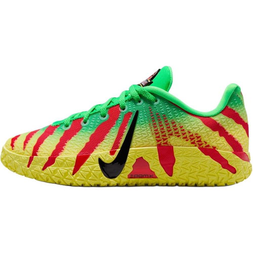 Nike 舒适贴合GS 低帮 篮球鞋 绿红 男女同款 IV2627-300