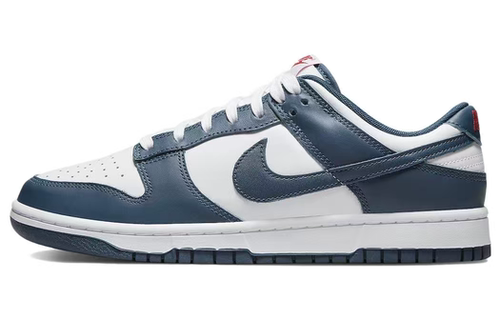Nike Dunk Low Retro 