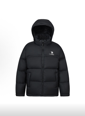 CAMEL骆驼 暖绒系列火山2.0 600+蓬鸭绒羽绒服 M13CR07066E太原仓