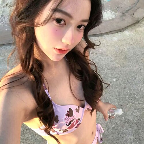 【泰酷辣】腊肠小狗性感钢托聚拢比基尼泳衣女显瘦辣泳衣8538