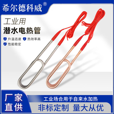 380V220V大功率潜水不锈钢电热管加热棒水箱水池加热器工业烧水棒