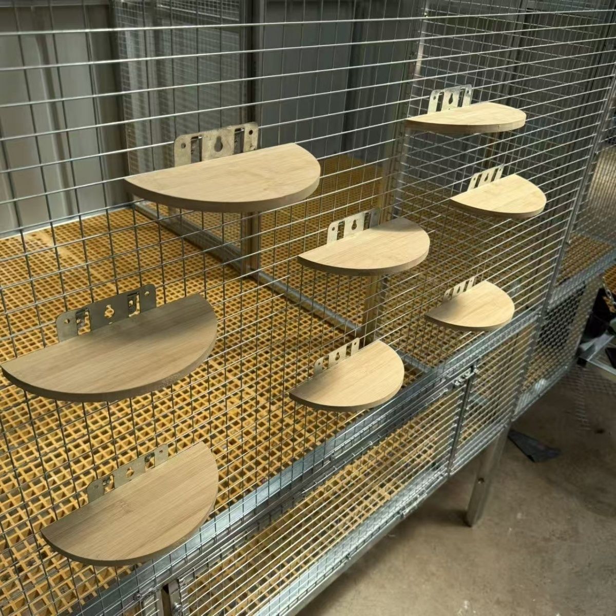 信鸽竹木半圆站架鸽子新款半圆栖架赛鸽休息挂钩用品站架栖息架