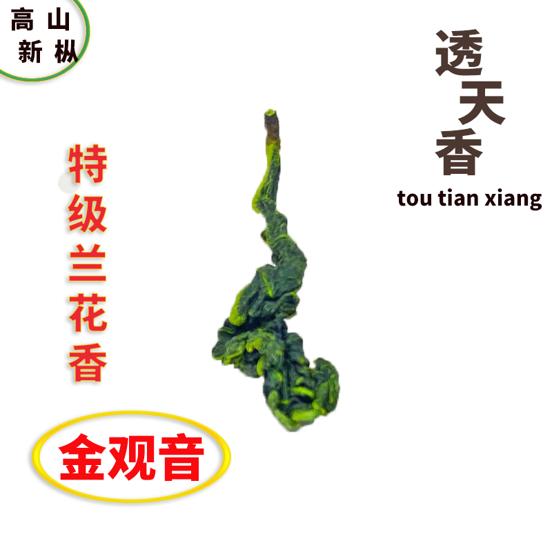 透天香金观音2025新茶正宗铁观音茶叶特级兰花香浓香清香型乌龙茶