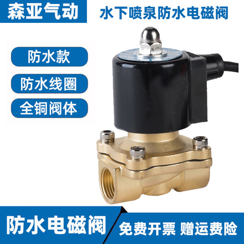 森亚SENYA水下防水电磁阀水气阀