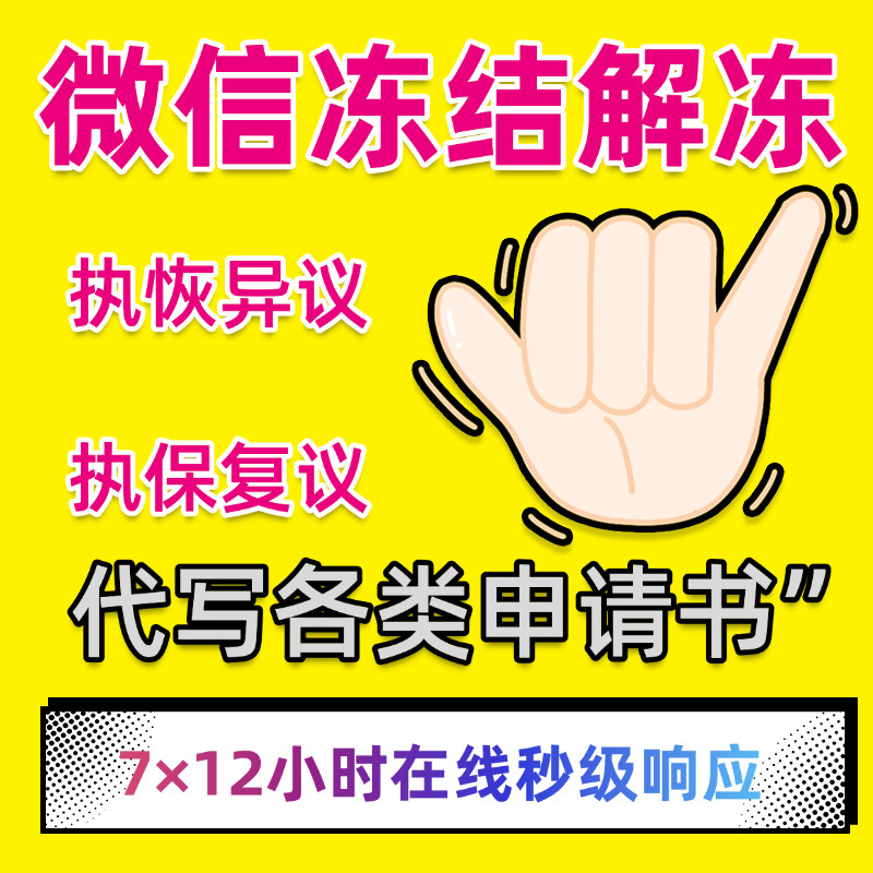 微信支付宝司法冻结解冻异地冻结执保复议执恢异议申请书代写