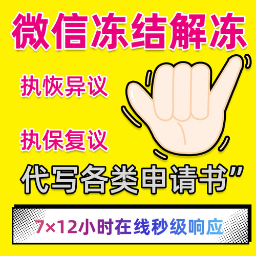 微信支付宝司法冻结解冻异地冻结执保复议执恢异议申请书代写