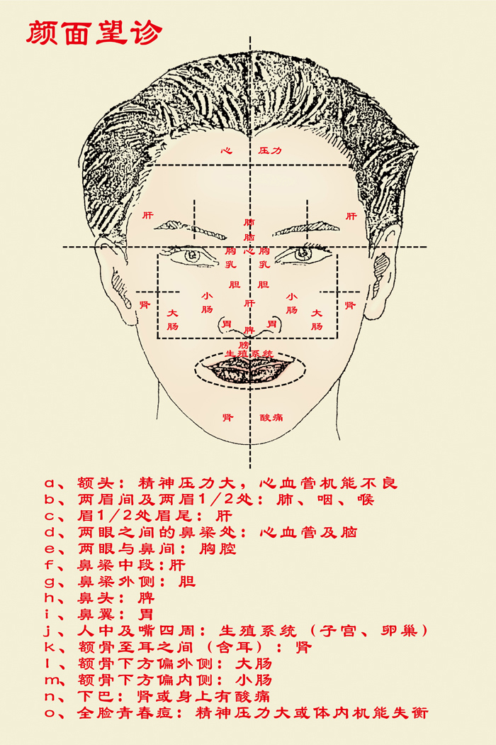 颜面望诊 图解图片