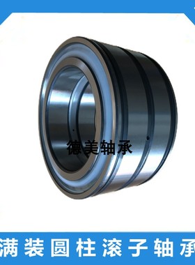 双列满装圆柱滚子轴承SL045028 045030 045022 045024 SL045026