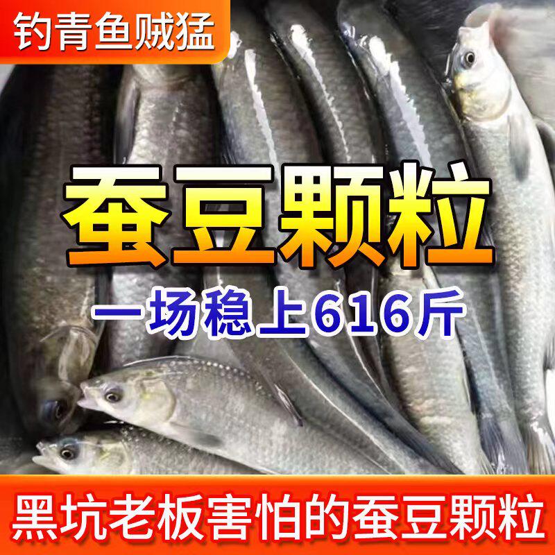 夏季新品青鱼蚕豆颗粒钓大青窝料黑坑专用挂钩皮筋大物青鱼饵料