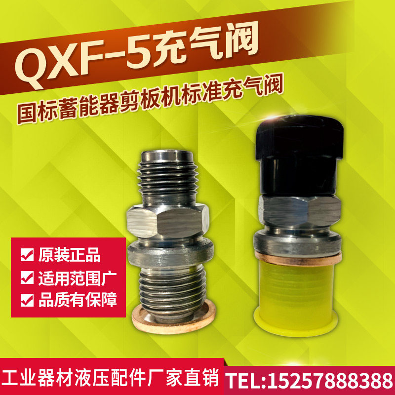 优质充气阀QXF-5剪板机蓄能器充气阀氮气止逆阀液压补气阀气门嘴